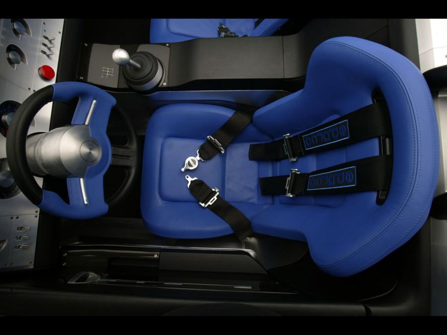  Shelby Cobra Concept 2004 года  (фото 2 из 53)